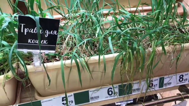 Всегда находите время для себя / мои правила смотреть онлайн