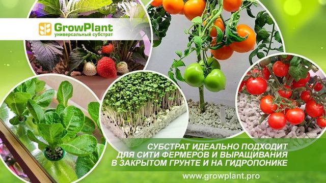 GROWPLANT - ИННОВАЦИОННЫЙ СУБСТРАТ ДЛЯ ВСЕХ ВИДОВ РАСТЕНИЙ