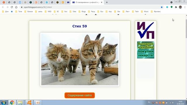 Стих 059. Единомышленницы