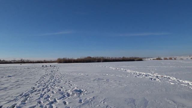 ЗИМНЯЯ РЫБАЛКА НА ПРУДУ В ЯНВАРЕ 2024 / УДАЛОСЬ КОЕ-ЧТО ПОЙМАТЬ. смотреть онлайн