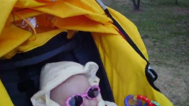 Lilly in Jog Stroller смотреть онлайн