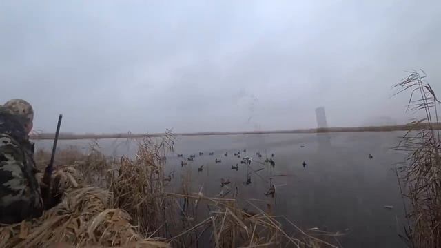 Охота на утку в декабре! смотреть онлайн