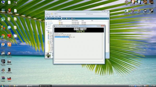 MW3 Dedicated Server Problem?