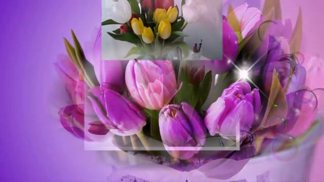 Проект 1 pskp Тюльпанов аромат ! смотреть онлайн