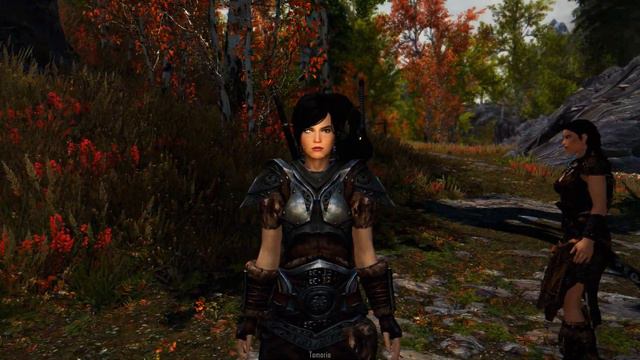 Skyrim SE 2020 -- Summonable Black Metal Band смотреть онлайн