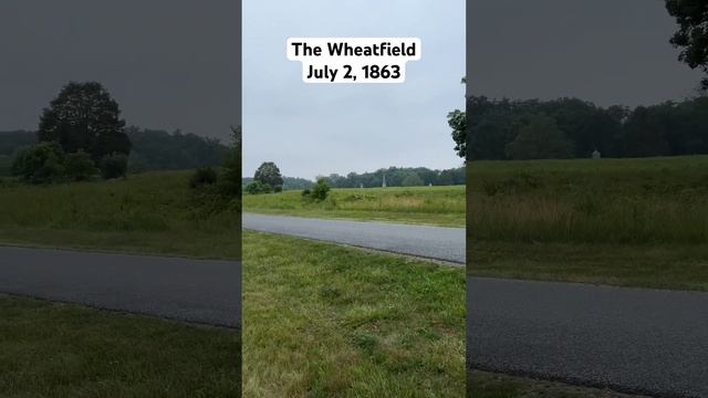 The Wheatfield at Gettysburg. #history #gettysburg смотреть онлайн