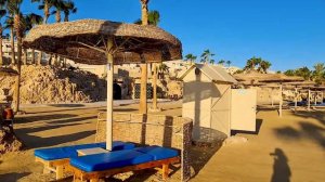 ☀️Albatros Citadel  ✨ Полный обзор пляжа отеля Альбатрос Цитадель!