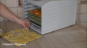 ?Готовим сухофрукты-шесть видов- в сушилке TRAVOLA