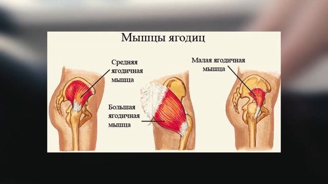 ХОЧЕШЬ КРАСИВУЮ ПОПУ НА ВЧЕРА?! смотреть онлайн