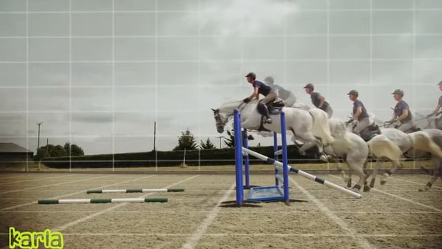 Лошади / кони клип. Клип про лошадей #3  , Equestrian Sport