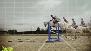 Лошади / кони клип. Клип про лошадей #3  , equestrian sport