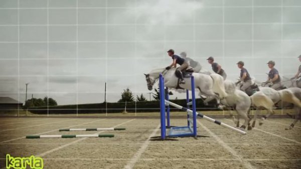 Лошади / кони клип. Клип про лошадей #3  , equestrian sport