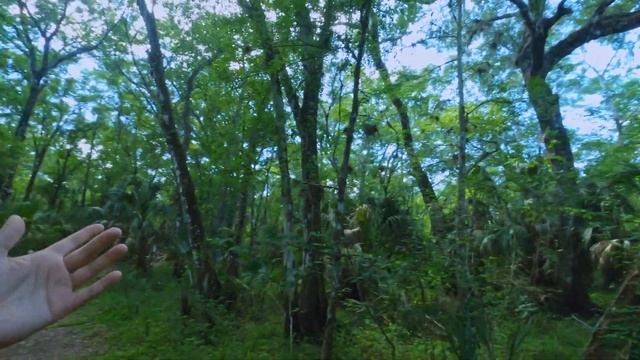 Улетел из Нью Йорка в южный штат США. смотреть онлайн