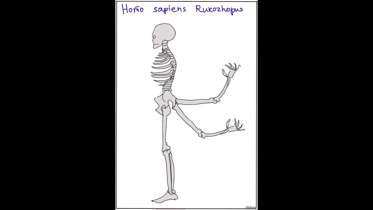 Asus x550 после копателей смотреть онлайн