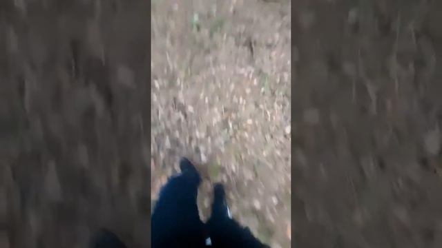 исипи смотреть онлайн