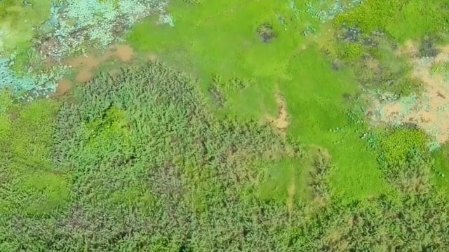 Testing Drone MJX Buge 16 Pro смотреть онлайн