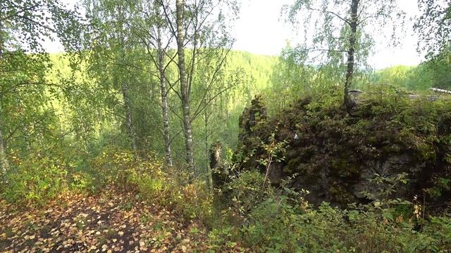 Риф, скалы, каньон и медведи / Канал Ухта смотреть онлайн