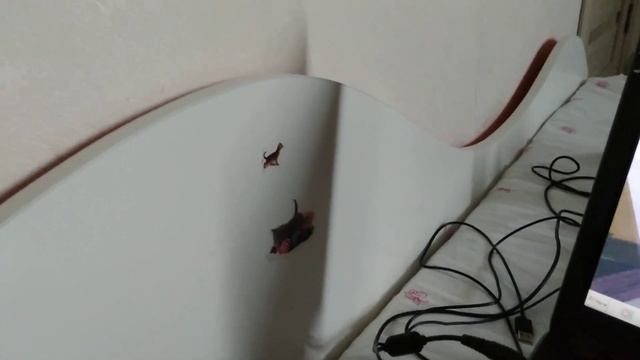 играю в roblox на слабом ПК смотреть онлайн