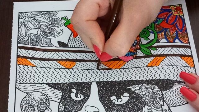 ASMR Grumpy Cat vs the World Coloring Book 1 смотреть онлайн