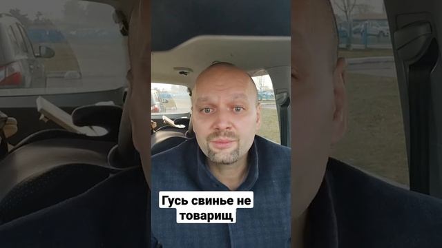 Анекдот √378 гусь свинье не товарищ. Подписывайся на хорошее настроение. Анекдот каждый день. смотреть онлайн
