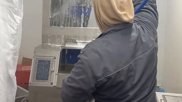 Промышленные инъекторы для мяса Guenther IP54 смотреть онлайн