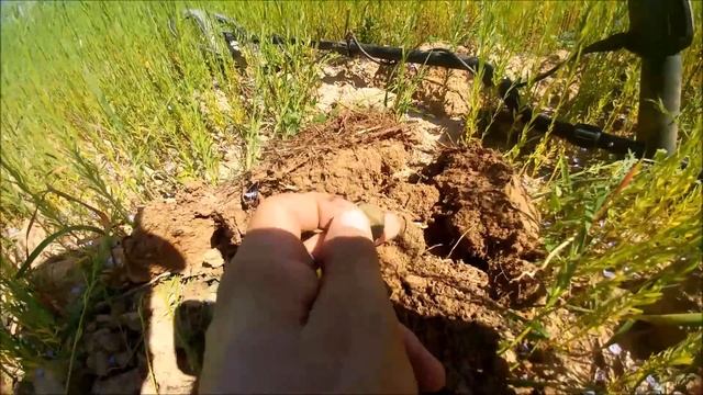 Ах, лето 2017. Короткий видео-коп. Империя, Советы, ходячка. смотреть онлайн