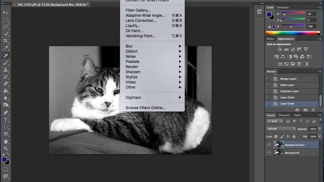 Portrait Gaussian Blur Effect смотреть онлайн