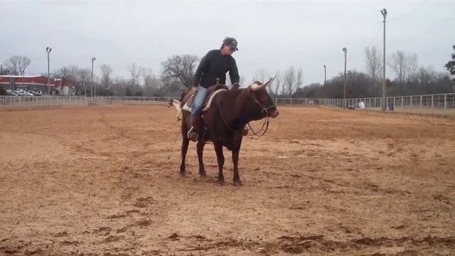 Riding Texas Longhorn Lady смотреть онлайн
