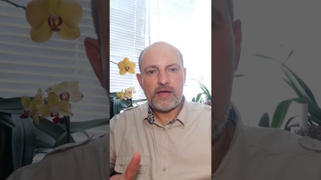 Что такое интуиция? Психоаналитические завтраки. смотреть онлайн