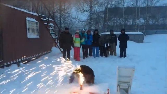 Кинологический центр БАРС 2017 смотреть онлайн