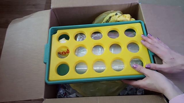 Поливать фиалки и стрептокарпусы теперь станет проще и удобнее! Фиалки у Алисы. смотреть онлайн