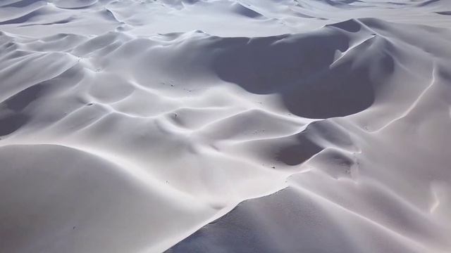 Desert Rose 2021 _ Sting.      #sting #desert_rose #desert #algeria #algerie #music