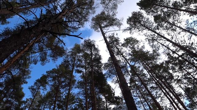 ЗАПИСКИ. ГОЛОДАНИЕ. Малахов. № 9. смотреть онлайн