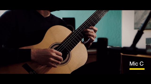 AEA N8 vs DPA 4011A vs Neumann TLM 193 on a Classical Guitar | Microphone Duels смотреть онлайн