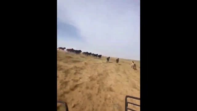 Шаруашылыққа ең төзімді темір тулпар LTM Мотоцикл смотреть онлайн