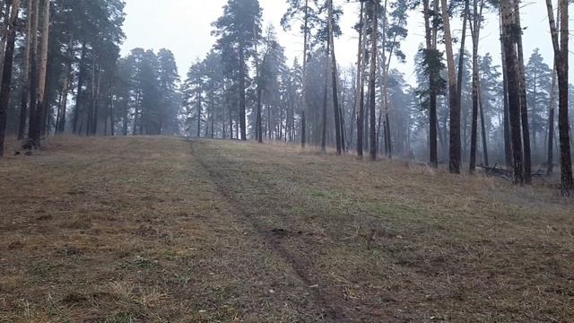 25  Ноября КОП 2022 на горнолыжном склоне в Тольятти поиск монет с металлоискателем