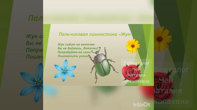 Видео для детей "Насекомые". смотреть онлайн