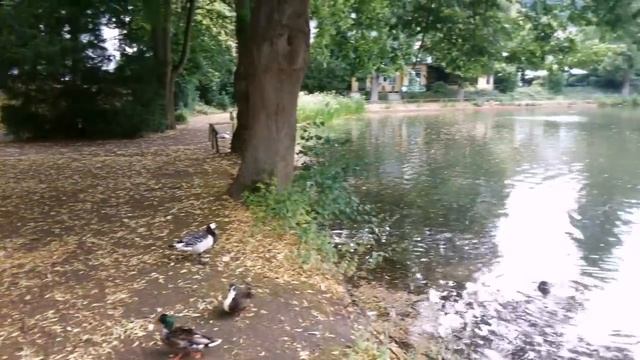 Шестой день в Германии  Магазины