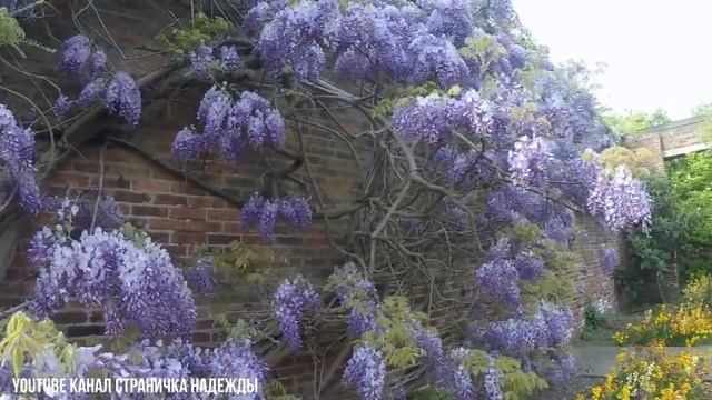 Английские сады в Мае смотреть онлайн