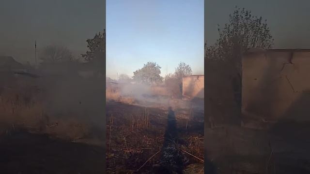 Как шарят дачи в топаре(2) смотреть онлайн