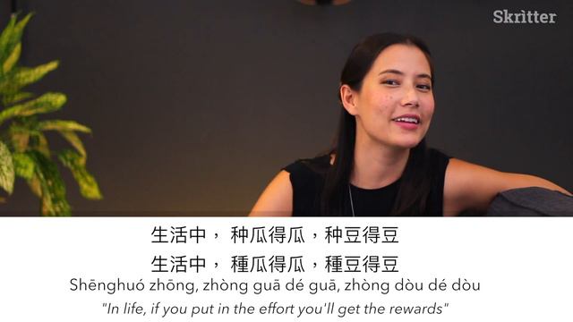 "You Reap What You Sow" - Chinese Idioms from Skritter смотреть онлайн