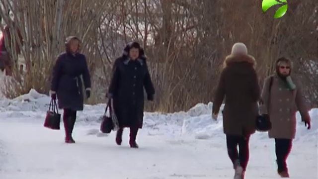 Женщины на Ямале за время отпуска по уходу за ребенком могут получить профессию смотреть онлайн