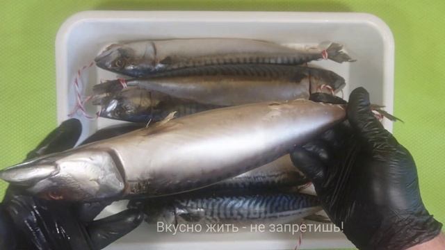 СКУМБРИЯ ХОЛОДНОГО КОПЧЕНИЯ I’m smoking it myself! You can’t buy such a mackerel! смотреть онлайн
