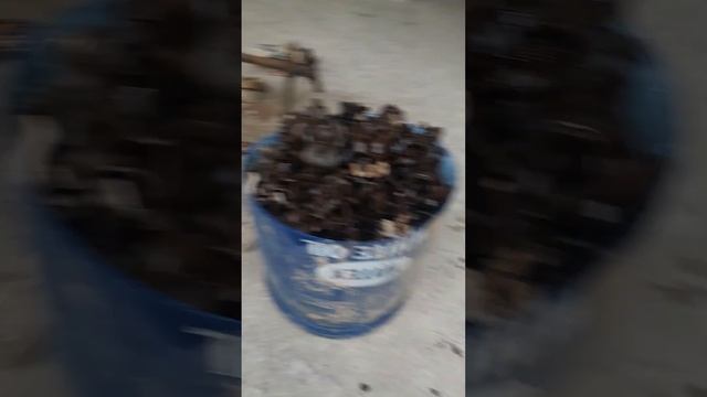 Asia, Europe & Gulf, Germany Pakist, ChatGpt, Dollar, lahore Pakistan. election 2024 in (2) смотреть онлайн