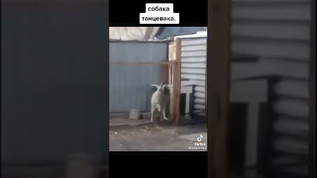 С ЧУВСТВОМ...С ТОЛКОМ...С РАССТАНОВКОЙ...)) смотреть онлайн