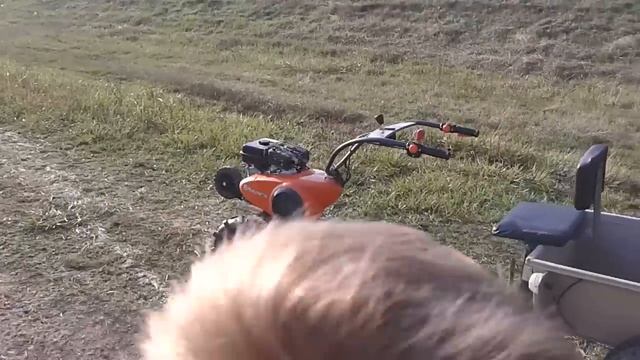 Husqvarna Tf 434p Rotációskapa Motoblok, Kultivator Pubert Vario