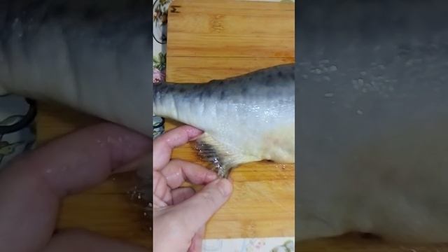 Рыба Горбуша.Самка и самец. Отличие. 2 часть. смотреть онлайн
