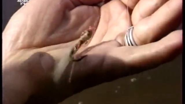 Рыбацкие самоделки 46.Оснастка для ловли жереха. смотреть онлайн