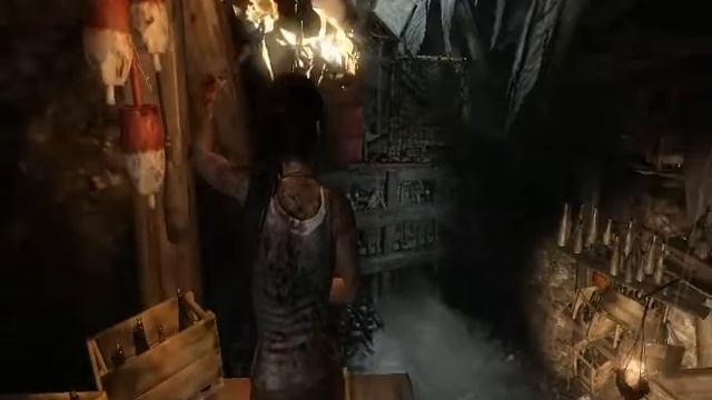 Tomb Raider 2013 on AMD E1-2500 with AMD Radeon HD 8200 in Low End Note смотреть онлайн