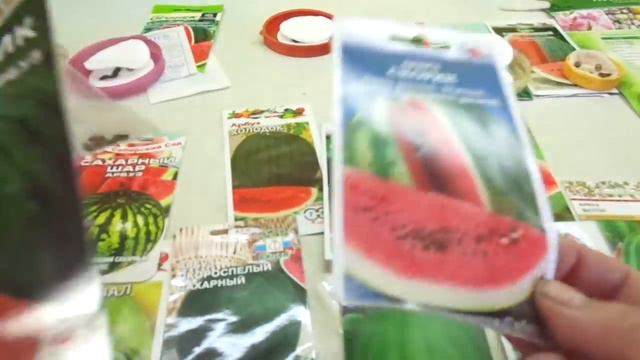 КАКИЕ АРБУЗЫ Я ВЫБРАЛА В ЭТОМ ГОДУ. Ольга Чернова. смотреть онлайн